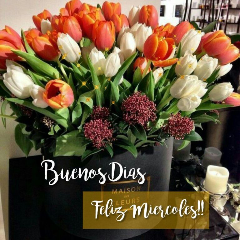 Imagenes Y Frases De Buenos Dias Para Mi Amor Para Descargar