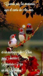 Imagenes Y Frases De Buenos Dias Para Mi Amor Para Mi Amor