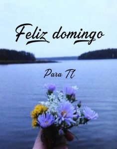 Imagenes Y Frases De Feliz Domingo Para Celular