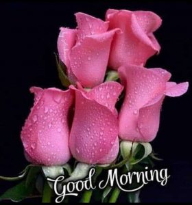 Imagenes Y Pensamientos De Buenos Dias Para Celular