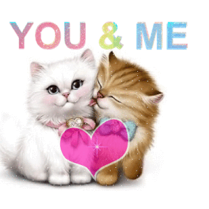 Imagenesd amor para celular WhatsApp