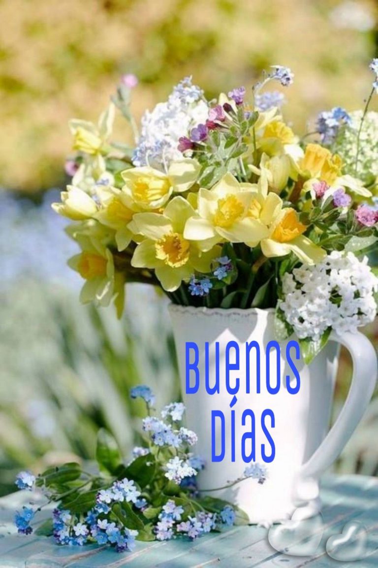 Imajenes Bonitas De Buenos Dias Para Una Amiga
