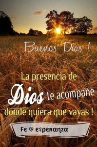 Imajenes Con Frases De Buenos Dias Para Celular