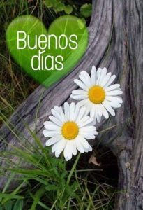 Imajenes De Buenos Dias Para Un Amor Para Descargar