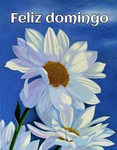 Imajenes De Dia Domingo Para Celular