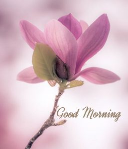 Imajenes De Los Buenos Dias