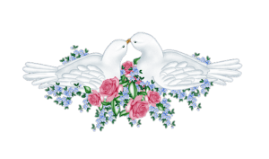 Imajenes Del Amor Para Celular Whatsapp