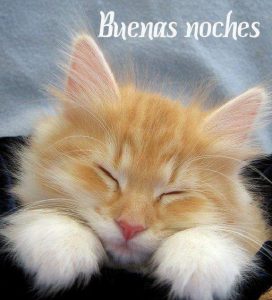 Imajenes para desear buenas noches
