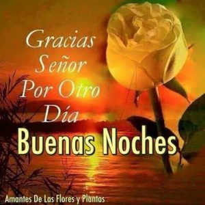 Imágenes bonitas de buenas noches gratis para WhatsApp