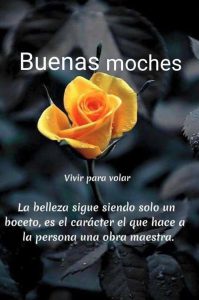 Imágenes de buenas noches para compartir para WhatsApp