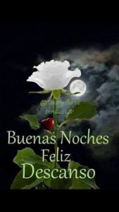 Imágenes de buenas noches para el amor para WhatsApp