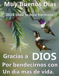 Imágenes de buenos días bonitas para mi amor