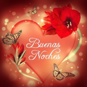 Imágenes de dar buenas noches para celular