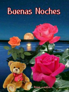 Imágenes de dar las buenas noches para WhatsApp