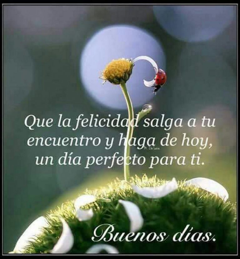 Imágenes Muy Bonitas De Buenas Noches Para Whatsapp