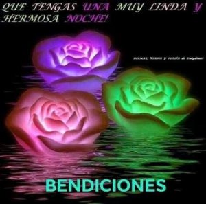 Imágenes preciosas de buenas noches