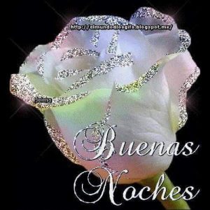 Imágenes preciosas de buenas noches para WhatsApp