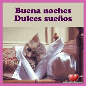 Jirafita dulces sueños para WhatsApp