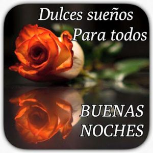 Las Mejores Buenas Noches Para Whatsapp