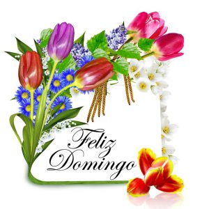 Las Mejores Frases Para Dar Los Buenos Dias Para Una Amiga