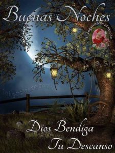 Las Mejores Imágenes De Buenas Noches Para Whatsapp