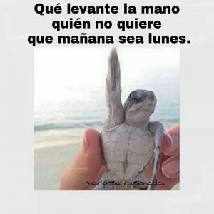 Las Mejores Imagenes De Buenos Dias Para Mi Amor