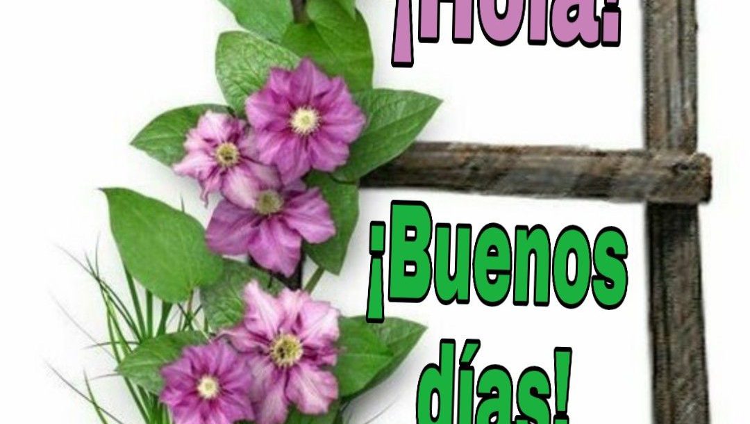 Frases Maravillosas De Buenos Dias Para Whatsapp – Imágenes de bonitas ...