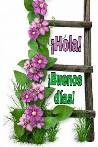 Las Mejores Imagenes De Buenos Dias Para Una Amiga