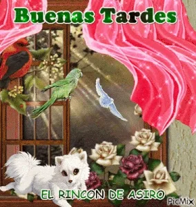 Linda tarde amiga gif animadas