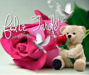 Linda Tarde Frases Para Whatsapp Celular