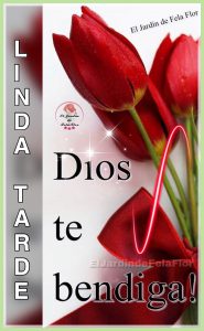 Linda Tarde Para Whatsapp Celular