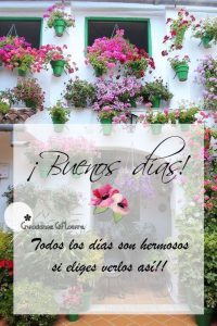 Lindas Imagenes De Buenos Dias Amor