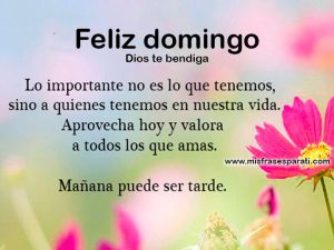 Lindo Domingo Para Celular