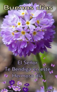 Lindo Msj De Buenos Dias Para Facebook