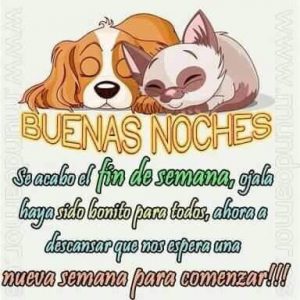 Lindos Pensamientos De Buenas Noches Para Facebook