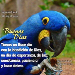 Los Buenos Dias Para Mi Novia Para Whatsapp