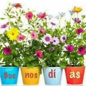 Los Buenos Dias Para Mi Novio Para Mi Amor