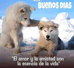 Los Buenos Dias Para Una Amiga