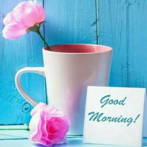 Los Mejores Buenos Dias Del Mundo Para Mi Amor