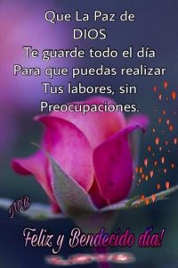 Los Mejores Buenos Dias Para Tu Pareja