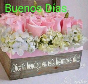 Los Mejores Mensajes De Buenos Dias Para Facebook