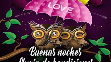 Photo of Magenes De Buenas Noches Para Whatsapp