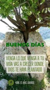 Magenes De Buenos Dias Para Descargar