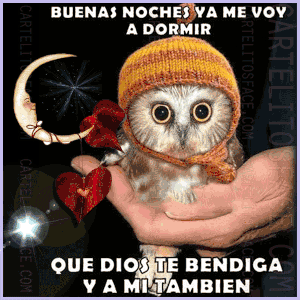 Mejores mensajes de buenas noches