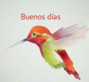 Mensaje Buenos Dias Amor Mio