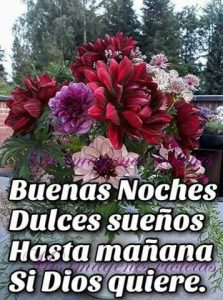 Mensaje De Buenas Noches A Mi Amor Para Celular