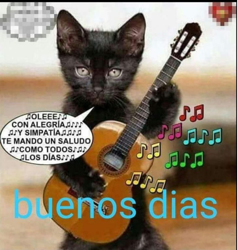 Mensaje De Buenos Dias Para Para Celular