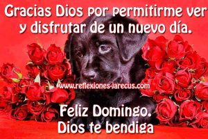 Mensaje Domingo Para Celular