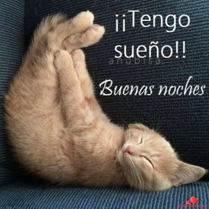 Mensaje Se Buenas Noches Para Mi Novio Para Whatsapp