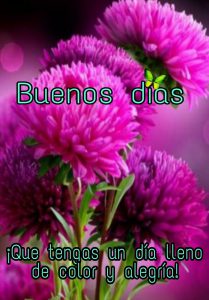 Mensajes Amorosos De Buenos Dias Para Descargar